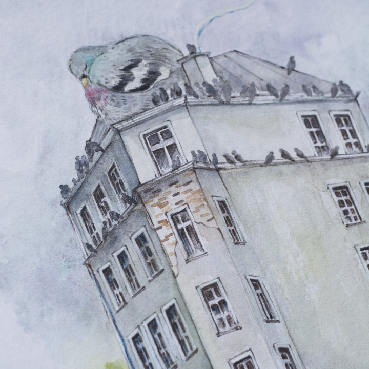 Tenement house with pigeons